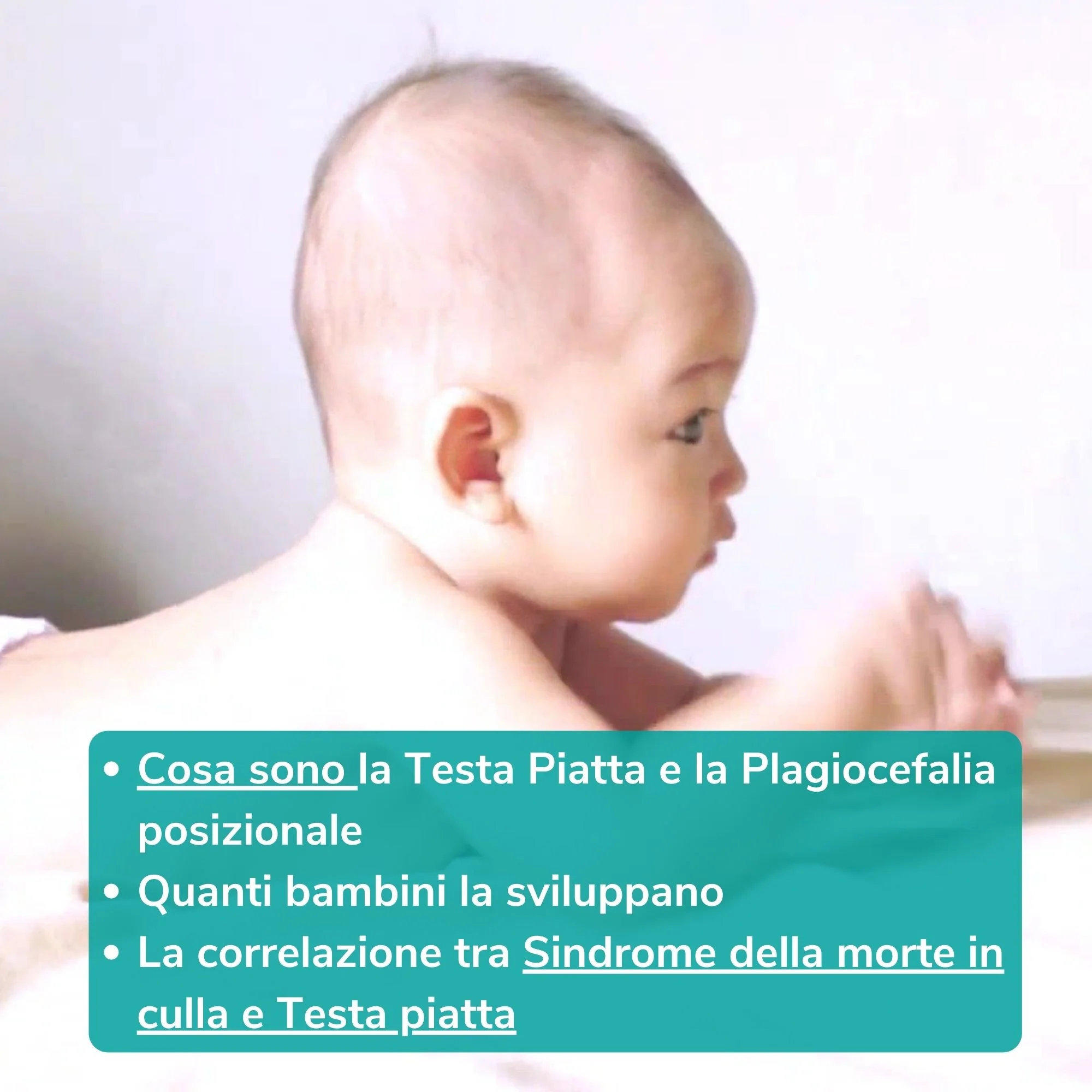 Bye bye testa piatta - immagine 6