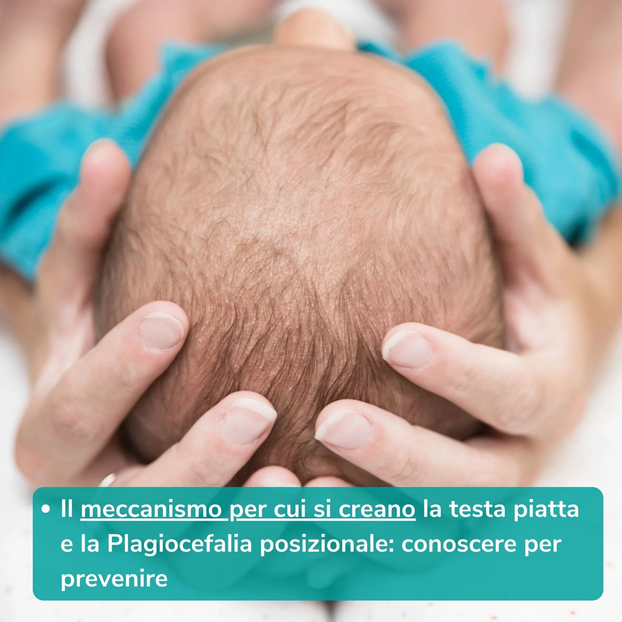 Bye bye testa piatta - immagine 7