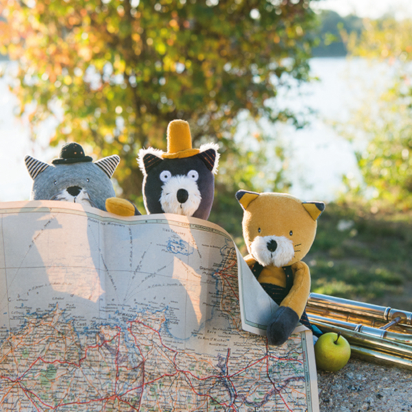 Piccolo Gatto Fernand Les Moustaches - immagine 5